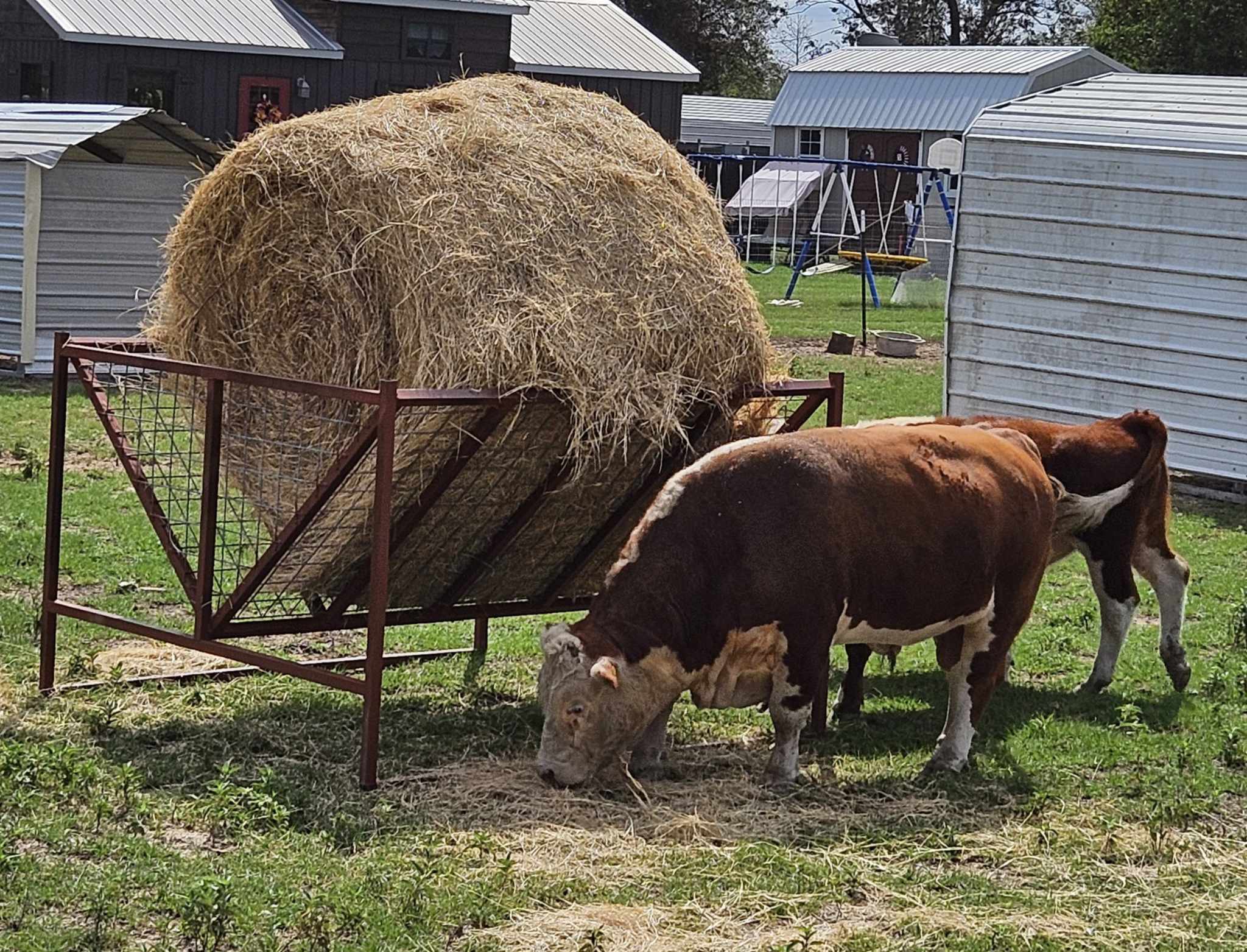 Second uncovered round bale feeder