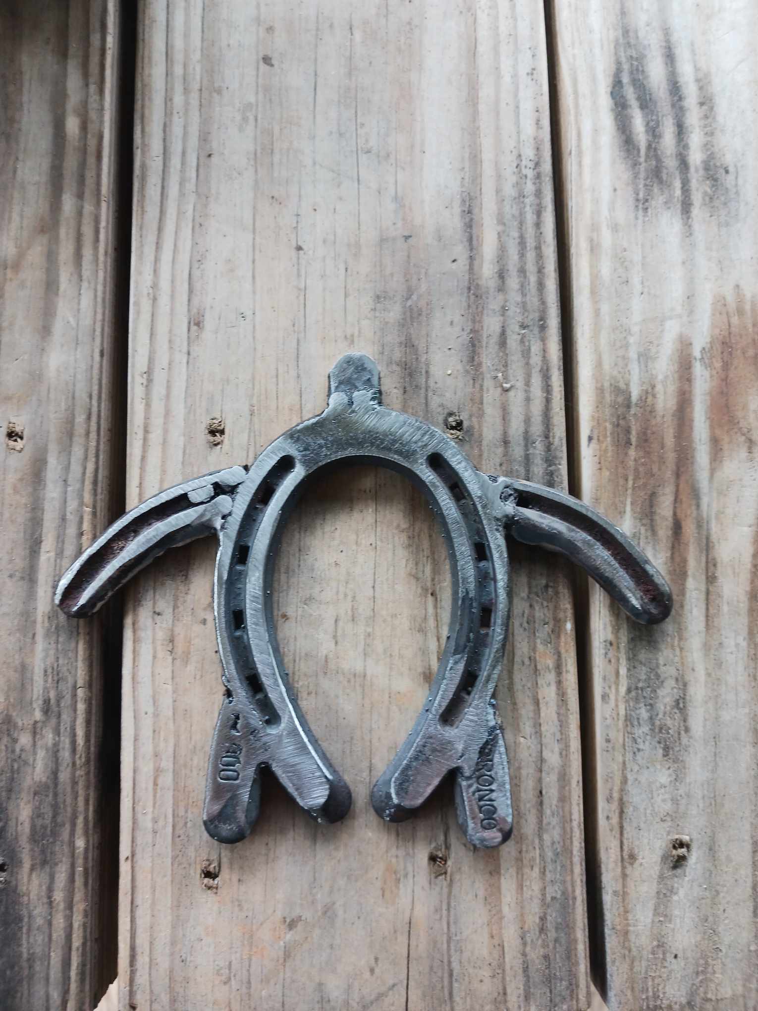 Horseshoe turtle